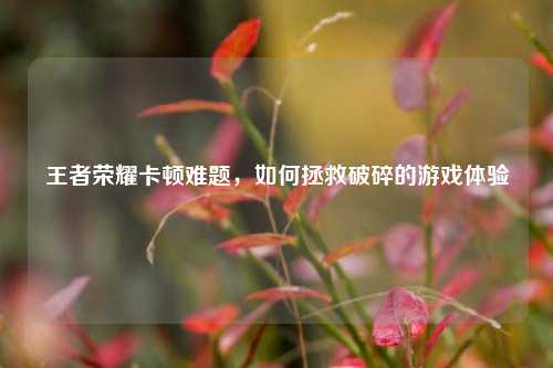 王者荣耀卡顿难题，如何拯救破碎的游戏体验