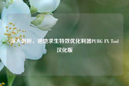 深入剖析，绝地求生特效优化利器PUBG FX Tool汉化版
