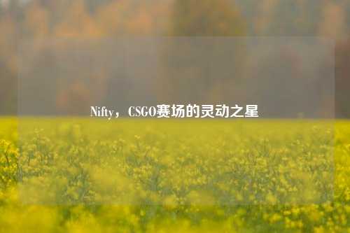 Nifty，CSGO赛场的灵动之星