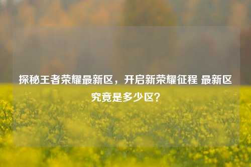 探秘王者荣耀最新区，开启新荣耀征程 最新区究竟是多少区？