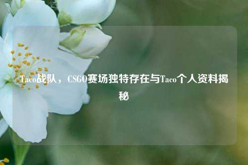 Taco战队，CSGO赛场独特存在与Taco个人资料揭秘