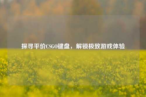 探寻平价CSGO键盘，解锁极致游戏体验