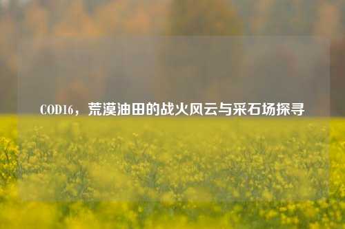 COD16，荒漠油田的战火风云与采石场探寻