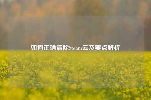 如何正确清除Steam云及要点解析