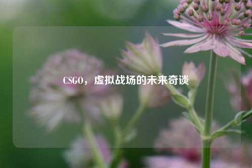 CSGO，虚拟战场的未来奇谈