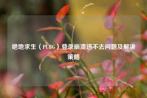 绝地求生（PUBG）登录崩溃进不去问题及解决策略