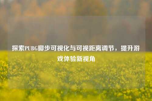 探索PUBG脚步可视化与可视距离调节，提升游戏体验新视角