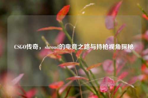 CSGO传奇，shroud的电竞之路与持枪视角探秘
