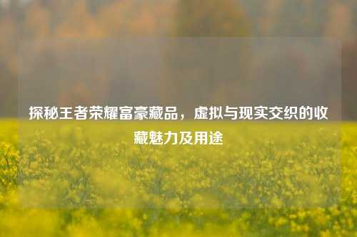 探秘王者荣耀富豪藏品，虚拟与现实交织的收藏魅力及用途