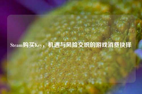 Steam购买Key，机遇与风险交织的游戏消费抉择