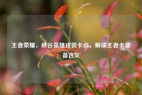 王者荣耀，峡谷英雄戎装卡点，解读王者卡装备含义