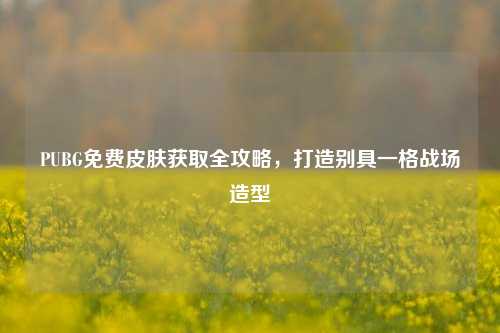 PUBG免费皮肤获取全攻略，打造别具一格战场造型