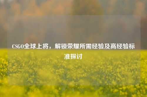 CSGO全球上将，解锁荣耀所需经验及高经验标准探讨