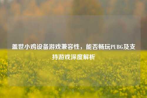 盖世小鸡设备游戏兼容性，能否畅玩PUBG及支持游戏深度解析