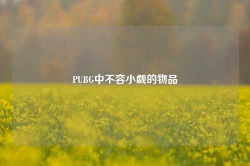 PUBG中不容小觑的物品