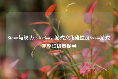 Steam与舰队Collection，游戏文化碰撞及Steam游戏完整性检查探寻