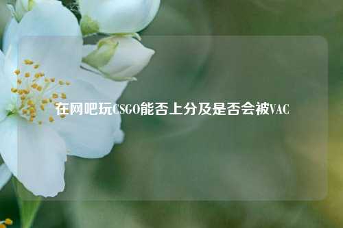 在网吧玩CSGO能否上分及是否会被VAC