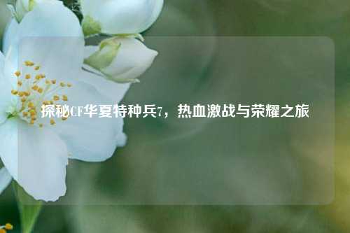 探秘CF华夏特种兵7，热血激战与荣耀之旅