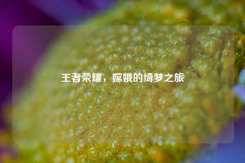 王者荣耀,嫦娥的绮梦之旅