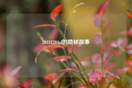 20181204cf的隐秘故事