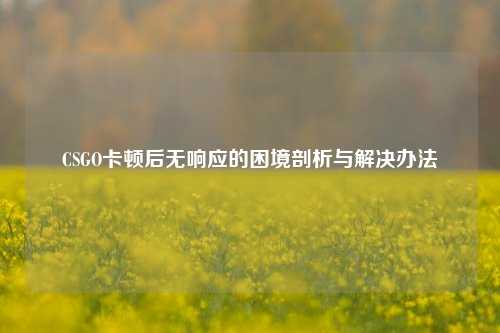 CSGO卡顿后无响应的困境剖析与解决办法