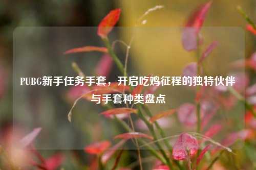 PUBG新手任务手套，开启吃鸡征程的独特伙伴与手套种类盘点