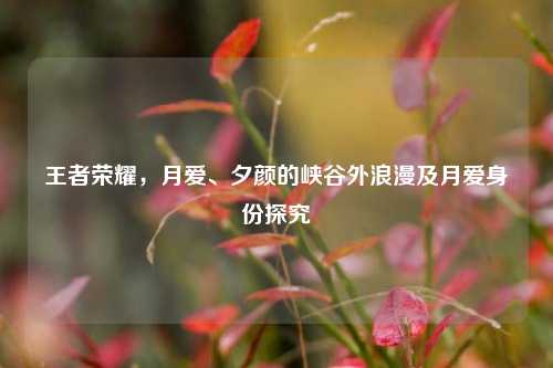 王者荣耀，月爱、夕颜的峡谷外浪漫及月爱身份探究