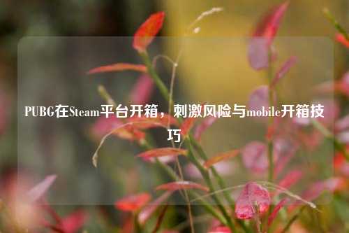 PUBG在Steam平台开箱，刺激风险与mobile开箱技巧