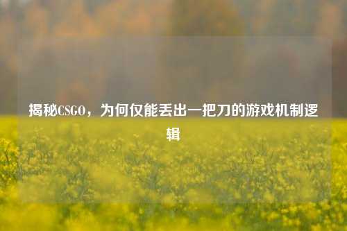 揭秘CSGO，为何仅能丢出一把刀的游戏机制逻辑