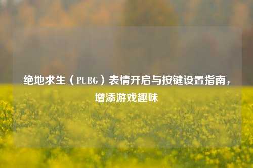 绝地求生（PUBG）表情开启与按键设置指南，增添游戏趣味