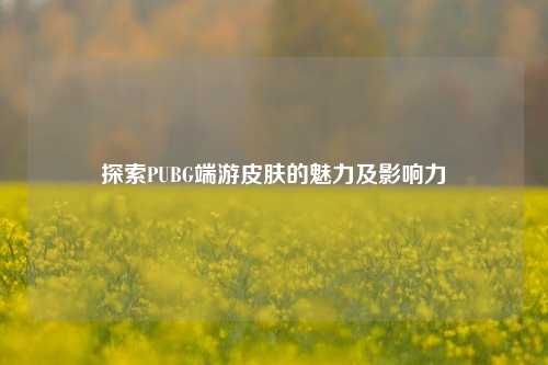 探索PUBG端游皮肤的魅力及影响力