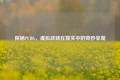 探秘PUBG，虚拟战场在现实中的奇妙呈现
