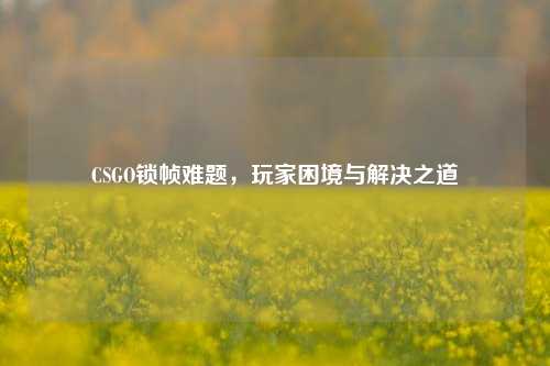 CSGO锁帧难题，玩家困境与解决之道