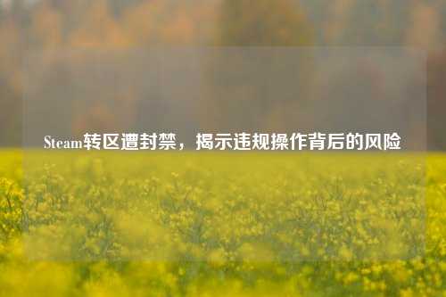 Steam转区遭封禁，揭示违规操作背后的风险
