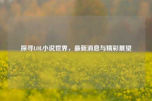 探寻LOL小说世界，最新消息与精彩展望