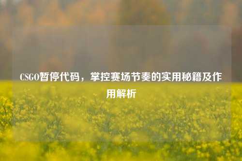 CSGO暂停代码，掌控赛场节奏的实用秘籍及作用解析