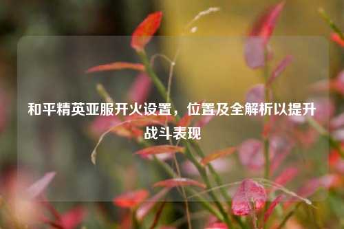 和平精英亚服开火设置，位置及全解析以提升战斗表现