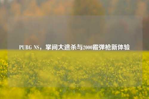 PUBG NS，掌间大逃杀与2000霰弹枪新体验