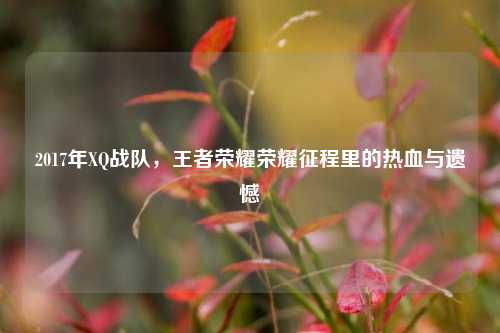 2017年XQ战队，王者荣耀荣耀征程里的热血与遗憾