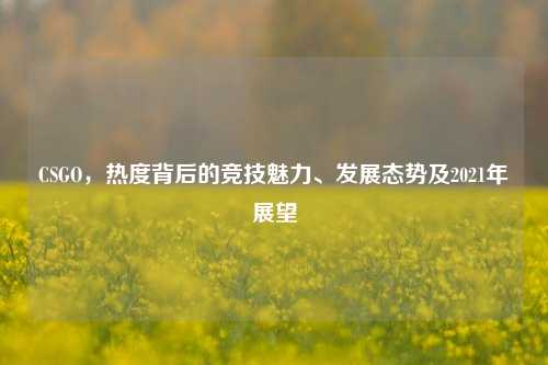 CSGO，热度背后的竞技魅力、发展态势及2021年展望