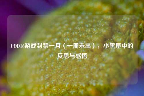 COD16游戏封禁一月（一周未出），小黑屋中的反思与感悟